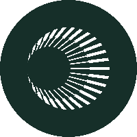 Plasma icon